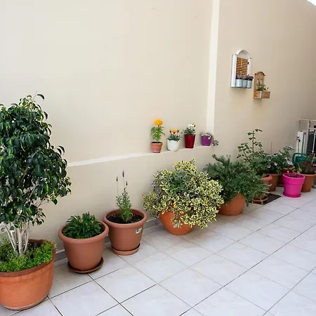 Apartment Rania
